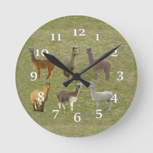Alpaca Group Wall-klok Ronde Klok