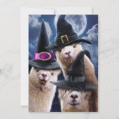 Alpaca Heksen Kaart (Voorkant)