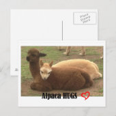 Alpaca Hugs Briefkaart (Voorkant / Achterkant)