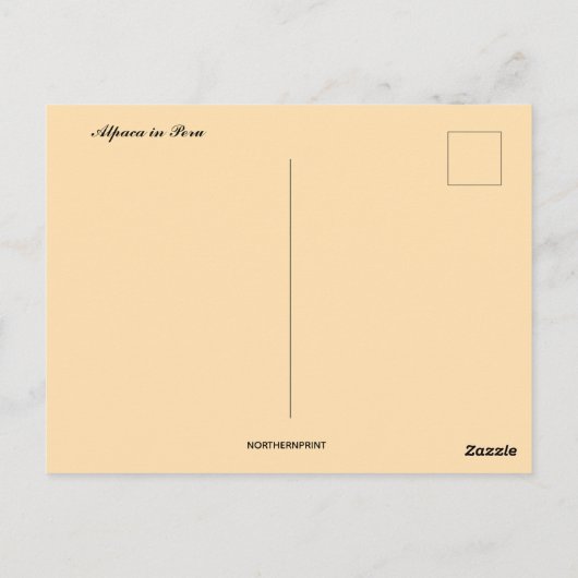 Alpaca in Peru Briefkaart (Achterkant)