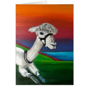 Alpaca - Jeudi obtenir carte de bien avec l'histoi