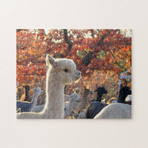 Alpaca Jigzaag Puzzle Legpuzzel