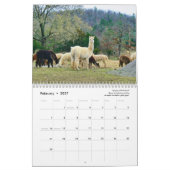 Alpaca Kalender 2025 (Feb 2027)