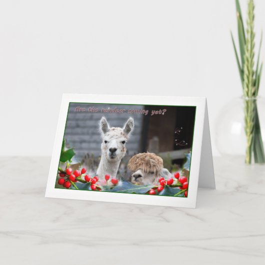 Alpaca Kerstmis Feestdagen Kaart (Voorkant)