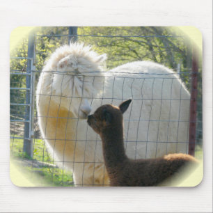 Alpaca Kisses Mousepad Muismat