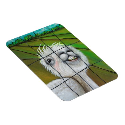 Alpaca - Kleine Dreamer magneet (Rechterzijde)