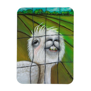 Alpaca - Kleine Dreamer magneet