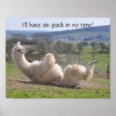 Alpaca llama amusant exercice poster de motivation (Devant)