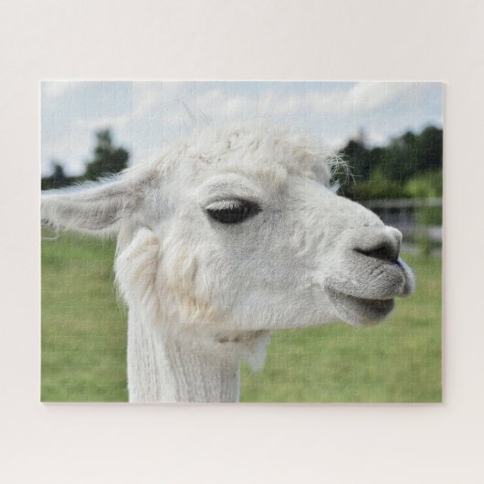alpaca Llama fotografie Legpuzzel (Horizontaal)