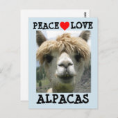 ALPACA LOVE BRIEFKAARTEN (Voorkant / Achterkant)