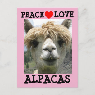 ALPACA LOVE BRIEFKAARTEN