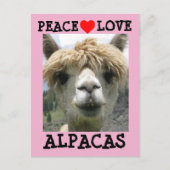 ALPACA LOVE BRIEFKAARTEN (Voorkant)