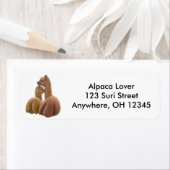 Alpaca Love Label (Insitu)