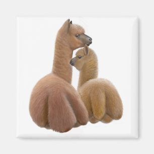 Alpaca Love Magnet Magneet