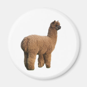 Alpaca Magic Magnet Magneet