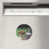 alpaca magneet (Insitu (Vaatwasser))