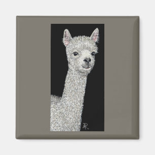 Alpaca Magnet Magneet