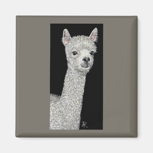 Alpaca Magnet Magneet (Voorkant)