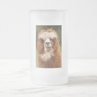 Alpaca