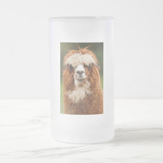 Alpaca Matglas Bierpul (Center)