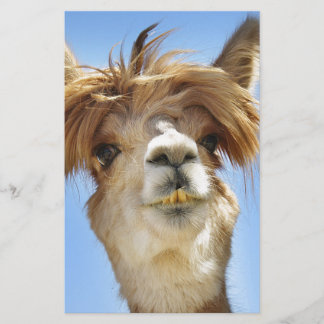 Alpaca met Crazy Hair Briefpapier