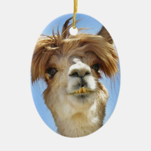 Alpaca met Crazy Hair Keramisch Ornament