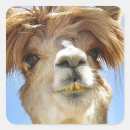 Alpaca met Crazy Hair Vierkante Sticker