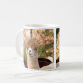 Alpaca Mok Belle (Voorkant links)