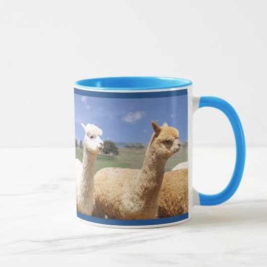 Alpaca mokken voor hem (Rechts)