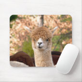 Alpaca Mousepad Belle Muismat (Met muis)