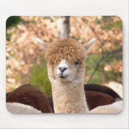 Alpaca Mousepad Belle Muismat