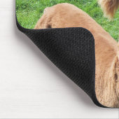 Alpaca Muismat (Hoek)