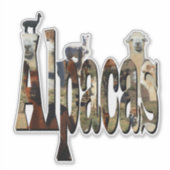Alpaca-naam met alpacas, sticker (Voorkant)