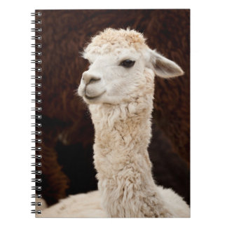 Alpaca Notitieboek