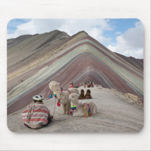 Alpaca on rainbow mountain, Peru Muismat
