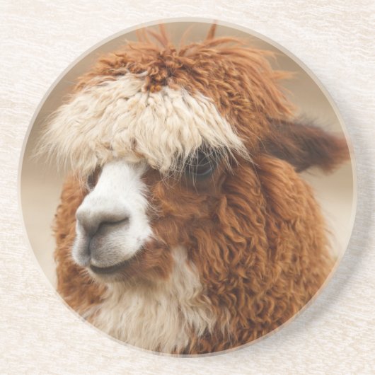 Alpaca onderzetter (Voorkant)