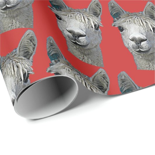 Alpaca op rood papier (Rol Hoek)
