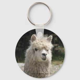 Alpaca, Parque Llaviucu, Ecuador Sleutelhanger