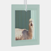 Alpaca Photo Ornament (Voorkant Rechts)