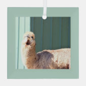 Alpaca Photo Ornament (Achterkant)