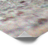 Alpaca Photo Poster (Hoek)