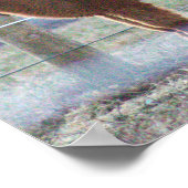 Alpaca Photo Poster (Hoek)