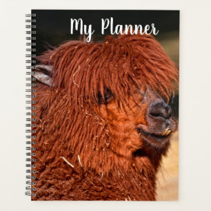 Alpaca Planner