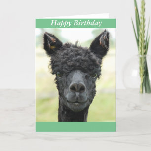 Alpaca Portrait Kaart
