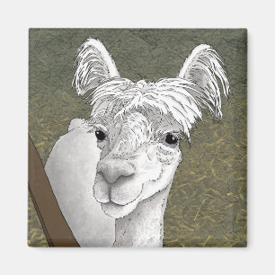 Alpaca Portret 2 Magneet