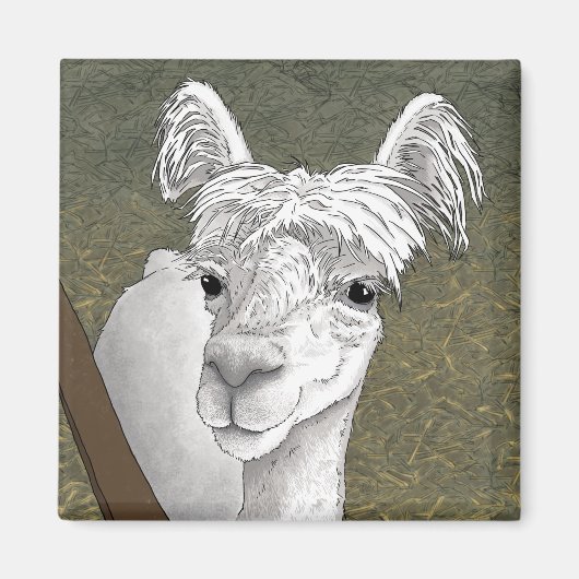 Alpaca Portret 2 Magneet (Voorkant)