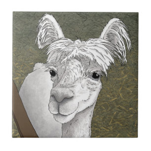Alpaca Portret 2 Tegeltje