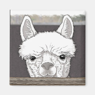 Alpaca Portret Magneet