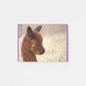 Alpaca Post-it® notes (Voorkant)