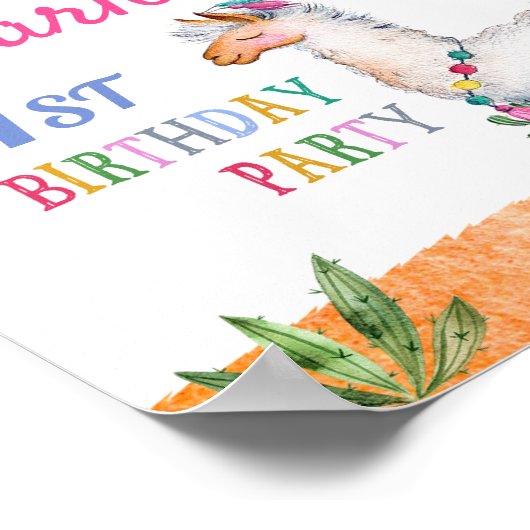 Alpaca poster (Hoek)